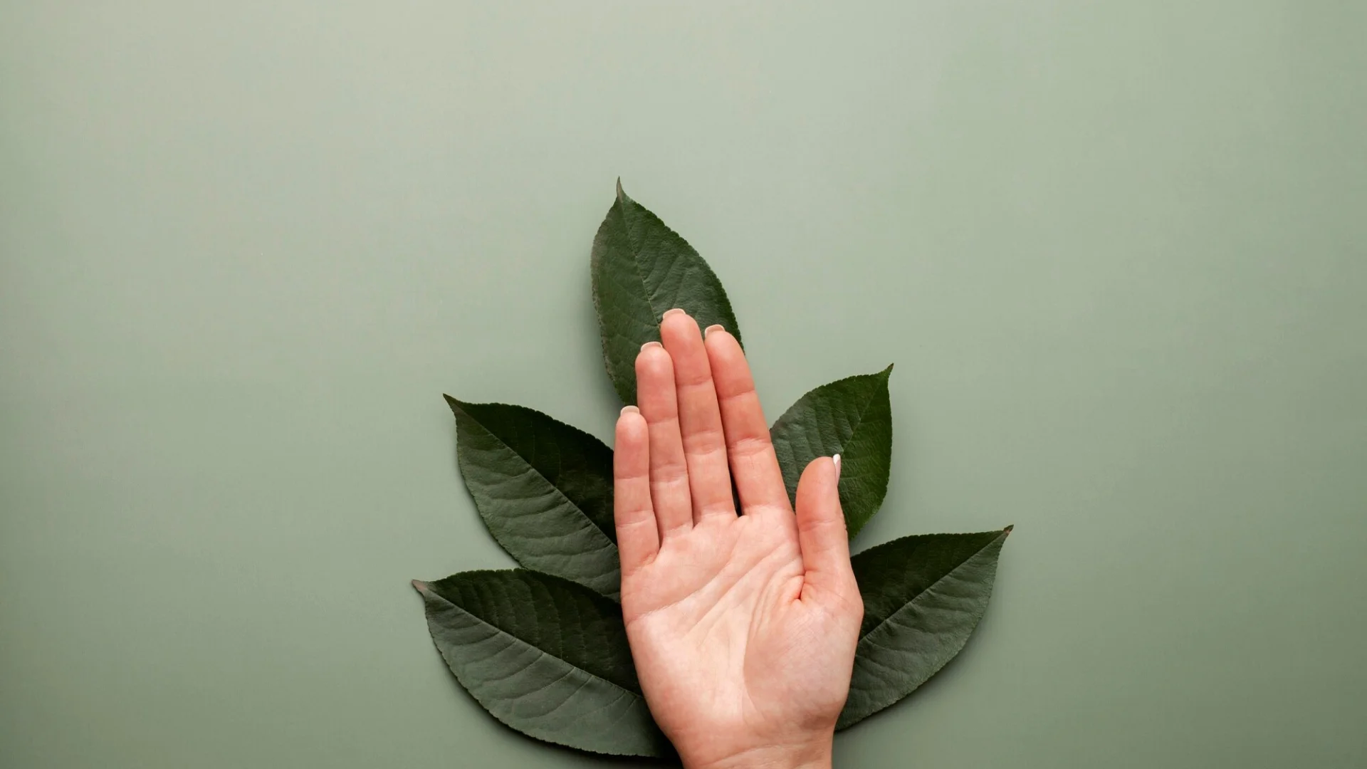 Simple Strategies to Live a Longer, Healthier Life