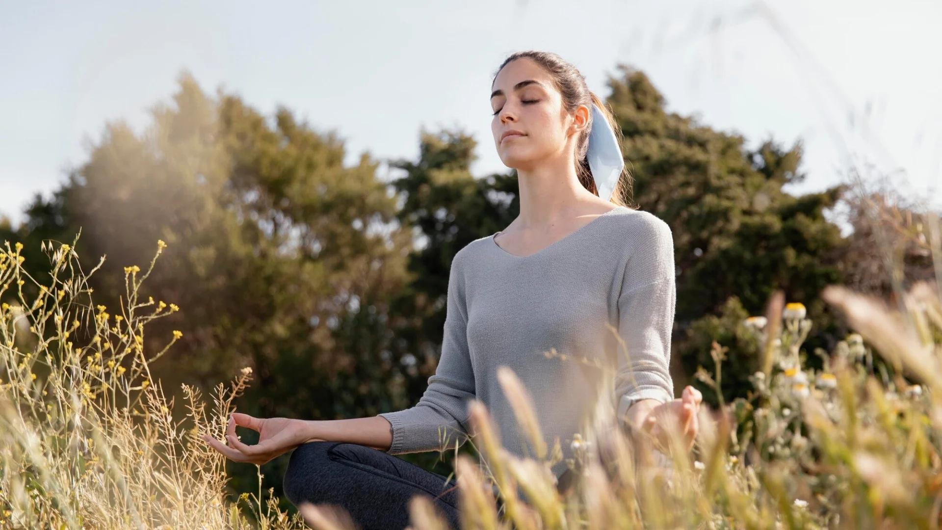 Cultivating Calm in a Chaotic World